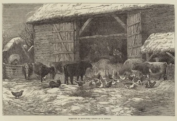 Corral en tiempo de nieve